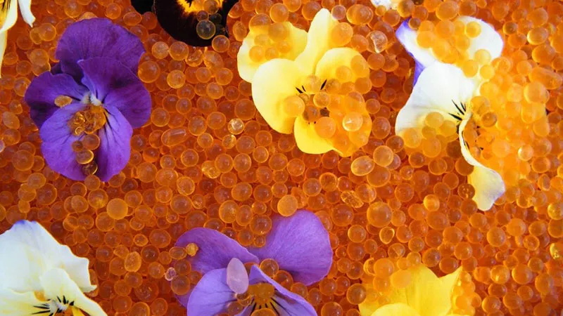 نحوه خشک کردن گل با سیلیکاژل