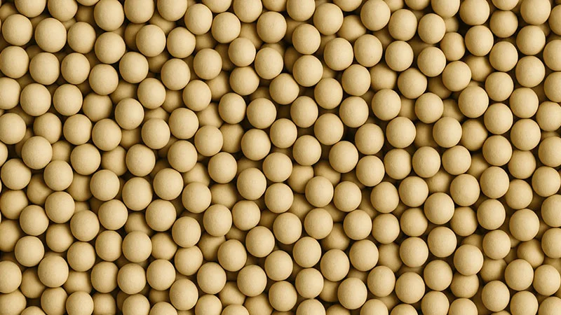 عکسی از مولکولارسیو 13x